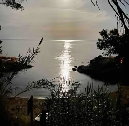 Lejlighed Platja De Aro Penthouse With Big Terrace